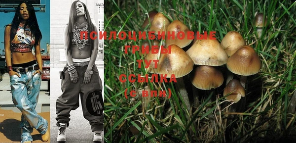 MESCALINE Белокуриха