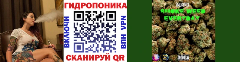 Бошки Шишки гибрид  Купить  Алексин 